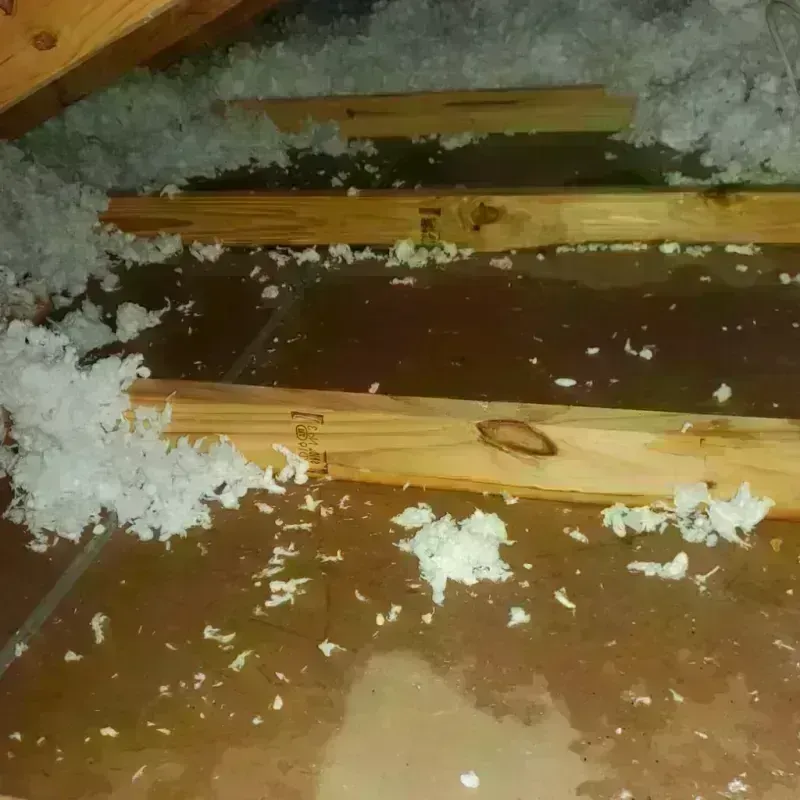 Attic Water Damage in Green Island, NY